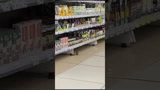 Чип или Дейл: в супермаркете Благовещенска заметили бурундука