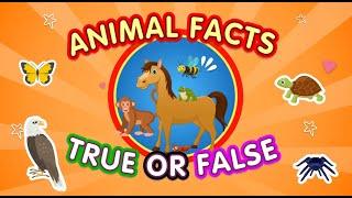 True or False with Animals! Can You Guess All the Answers!? | Animal Quiz | PART 2