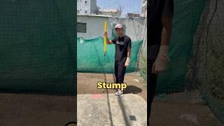 6 Ball Challenge With Friend . #minivlog #tranding #shorts #short #cricket #vlog #vlogs