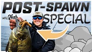 Dragging Tubes for Post-Spawn Smallmouth Bass