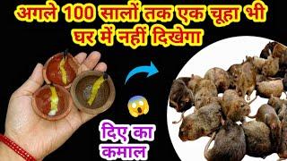 अगले 100 सालों तक एक भी चूहा  नही दिखेगा इस घरेलू तरीके से  rid of mouse/ chuhe bhagane ka tarika