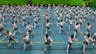 The International Taekwon-Do Federation