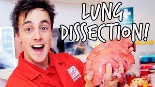 What's inside the lungs? | Lung Dissection | We The Curious