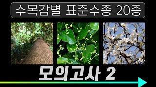 조경기능사 실기 수목감별 표준수종 20종 모의고사 2