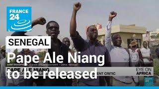 Court orders release of Senegal government critic Pape Ale Niang • FRANCE 24 English