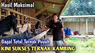 TERNAK KAMBING TERNYATA LEBIH MENGHASILKAN UANG