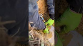 Installing a Watts Pressure Reducing Valve - Pex x Poly Transition #plumbing #plumber #asmr #shorts