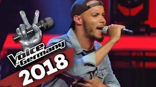 Limp Bizkit - Take A Look Around (Sascha Coles) | The Voice of Germany | Blind Audition