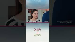 Oyku Slapped Ayaz! - Cherry Season #shorts