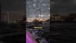 Как Получить Поддержку от Профессора 3 Шага!