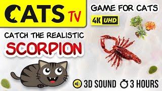 GAME FOR CATS - Realistic Scorpion  3 Hours  4K [Cats TV]
