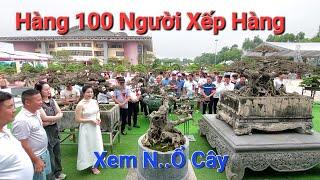 KHAI MẠC Festival Ninh Bình CHƯA KHI NÀO TL ĐÔNG VUI & HOÀNH TRÁNG đến vậy * N..Ổ CÂY VUI NHƯ HỘI*.