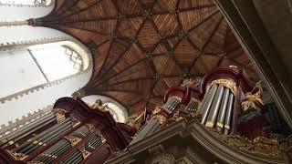 Haarlem St.Bavo Organ of Chirstiaan Müller 1738