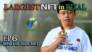 Largest NFT in Rizal EP 6 (What is Side Net)