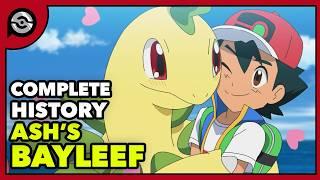 Ash's Bayleef: From Chikorita to TRUE LOVE | Complete History