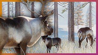 Arctic Pack DLC Announcement | Planet Zoo DLC [4k60fps]