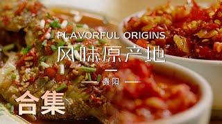 【风味原产地·贵阳】01-10全集 高能的美食画面上头的味蕾冲击集合10种地道风味，品10种人生乡愁 | Flavorful Origins: Gui Yang | 腾讯视频 - 纪录片