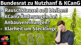 Bundesrat zu Nutzhanf & Konsumcannabisgesetz / Rauschklausel soll bleiben / Änderungen KCanG / Infos