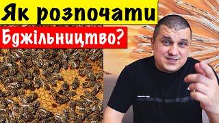 Як розпочати власне Бджільництво?  