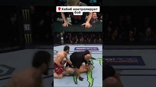 Хабиб с контролировал бой. #habibi #islammakhachev #miketyson #jakepaul #loganpaul #mma #ufc