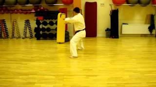 Shikon No Kata (back) 士魂 (shihan R.Hatmullin) www.shido.ru