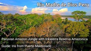 Peruvian Amazon Jungle with Inkaterra Reserva Amazonica and Guide Iris