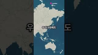한국 전기요금 인상, 일본 지진 영향, 총선 핵심 포인트!