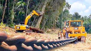 Land Clearing with Excavator and Chained Bulldozer - Deforestation for Agriculture