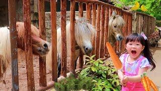 Feeding Fun Pony Horse Lions Fish Birds Monkeys - Learn About Animals at Zoo