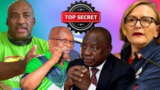 GAYTON MCKANZIE VS HELEN ZILLE A WAR CAUSED BY RAMAPHOSA | EVERYTHING YOU NEED TO KNOW.
