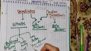 Angina 4 - Classification continued