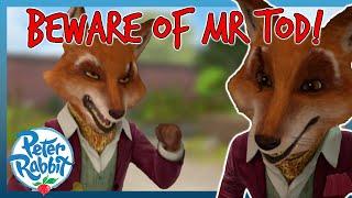 @OfficialPeterRabbit -  BEWARE of Mr. Tod!  | COMPILATION | Cartoons for Kids