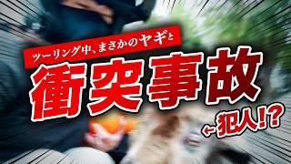 【バイク女子】嘘だろ!?ツーリング中、ヤギに絡まれぶっ飛ばされる... | レブル250 | 阿蘇 大分 ツーリング