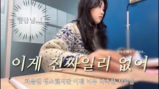 극소기업 직장인 브이로그 | 사장님 월급에 0 하나 빼먹으신거 같아요 |심난할땐 치즈김밥 