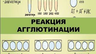 Реакция агглютинации (ориентировочная и развёрнутая)