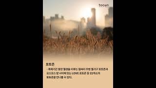 오직 가울에만 볼 수 있는 풍경 서울억새축제