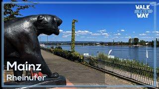 Mainz Rheinufer (August 2022) Walking Tour 4K