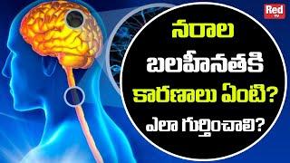 నరాల బలహీనతకి కారణాలు ఏంటి? ఎలా గుర్తించాలి? |#nervoussystem | RedTv Health