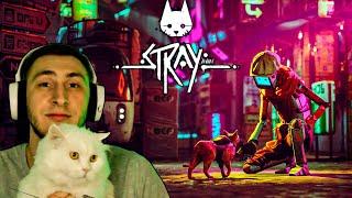 НАСЛЕДИЕ ЧЕЛОВЕЧЕСТВА | Stray #2