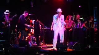 Rufino & The Coconuts - Jungle Jungle! @ The Famous Spiegeltent, Canberra, 2016.