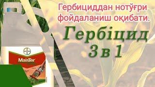 (пестицидларни нотўғри қўллаш) (+99833) 011 22 11. Маккажухори, жүгері, кукуруза, corn, жүгөрү,