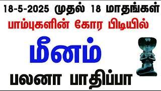 அடுத்த 546 நாட்கள் | பாம்புகளை வெல்லும் கீரியாக | மீனம்ராகு கேது பெயர்ச்சி பலன்கள்  # Meenam