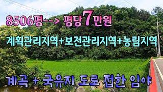 [전속매물] 8506평임야/ 계곡 붙은 그림같은 산! 2차선도로국유지접함,계획관리지역+보전관리지역+농림지역 급매!/매물문의:  031-524-9734
