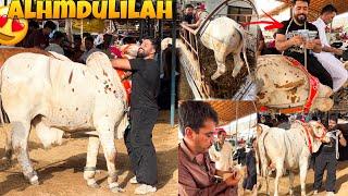 FINALLY APNI QURBANI KE LIYE PYARE JANWAR LELIYA  I SYED FAHAD