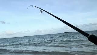 Usual time to catch trevally/ just before sunrise!