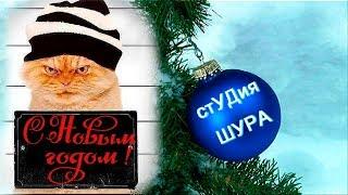 Александр Немецъ - С Новым Годом !!! (Студия Шура) клипы шансон