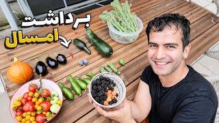 امسال محصولات باغچمون خوب نشد ولی...