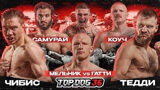 Chibis VS Teddy, Samurai VS Coach, Melnik VS Gatti | TOP DOG 36, Saint Petersburg