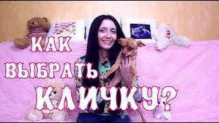 Как выбрать кличку (имя) для щенка??!!  The Alice Twins #9