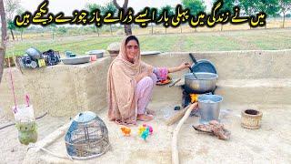 Zindagi Me Phli Bar Maine Asy Darame Baz Chuze Dekh Han Alia Vlogs